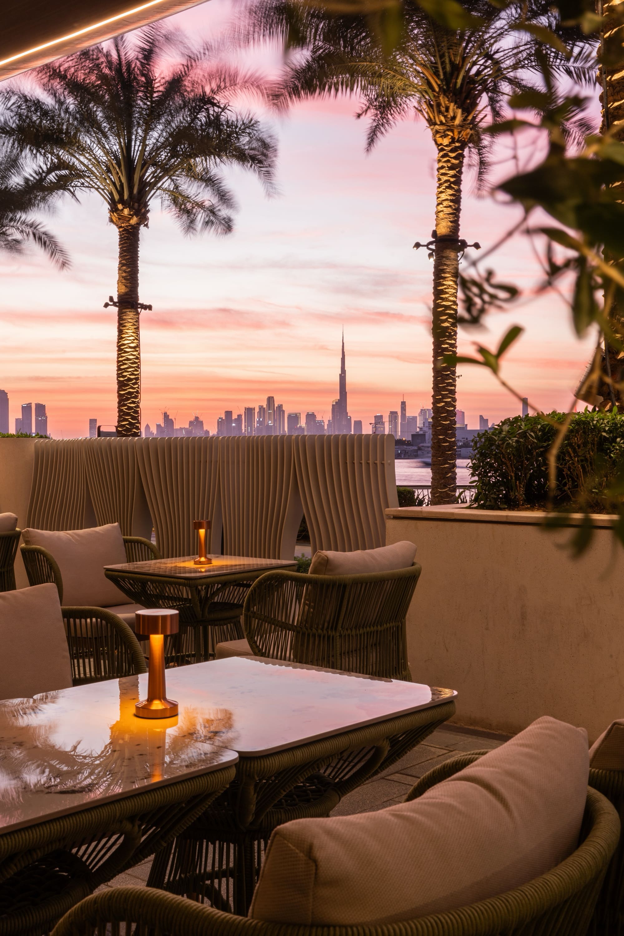 SACHA-137.jpg Sa'Cha Skyline